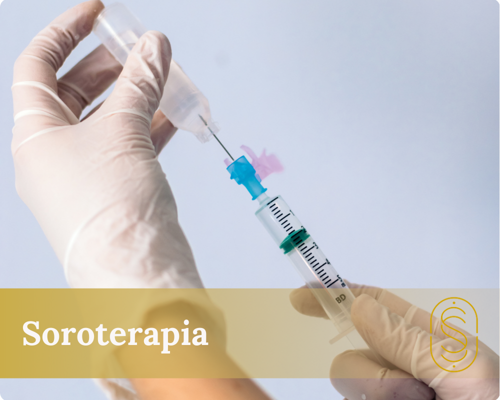 Soroterapia