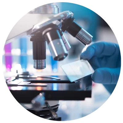 Microscopia de Campo Escuro