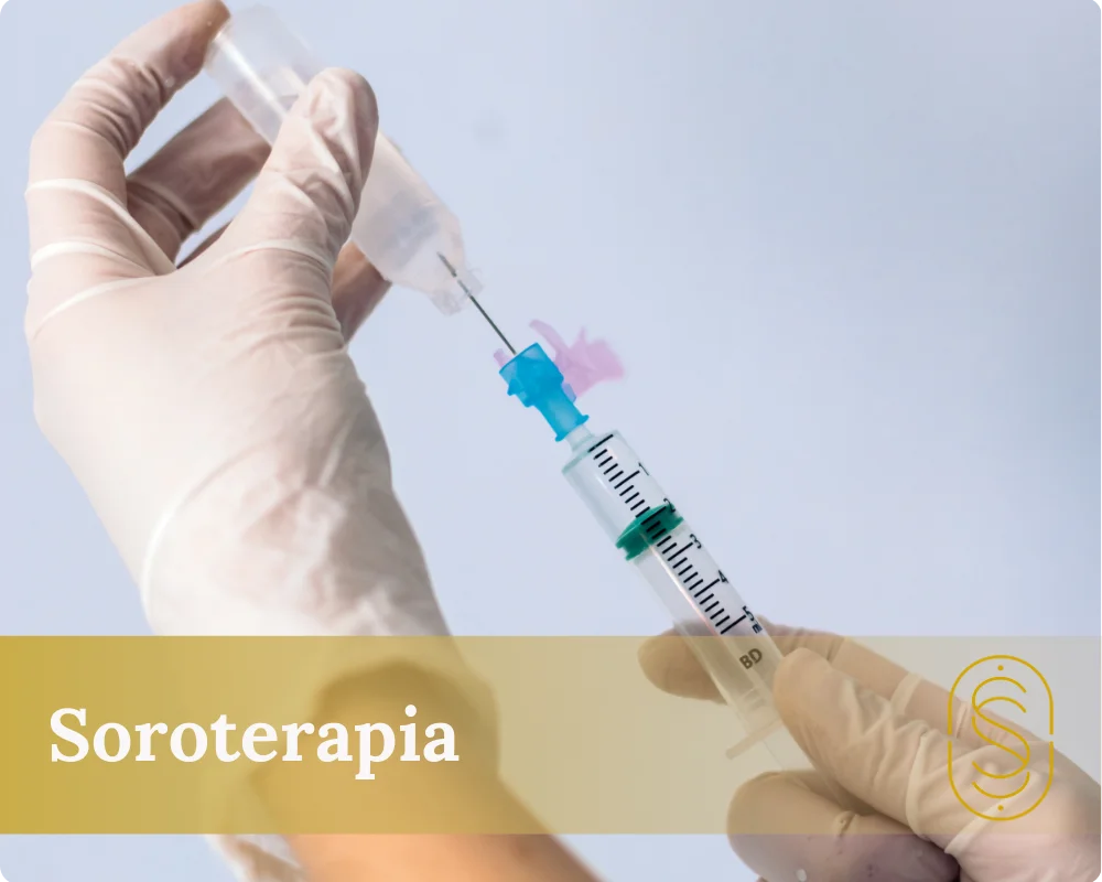 Soroterapia